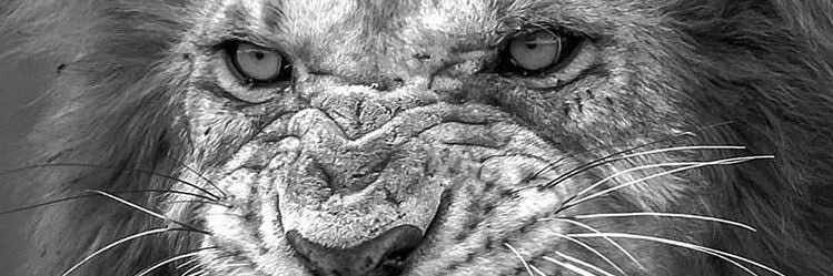 mills__3's profile banner image