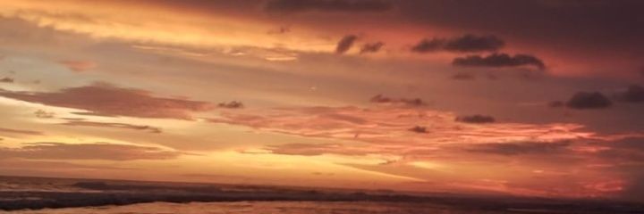 erikagomezL's profile banner image