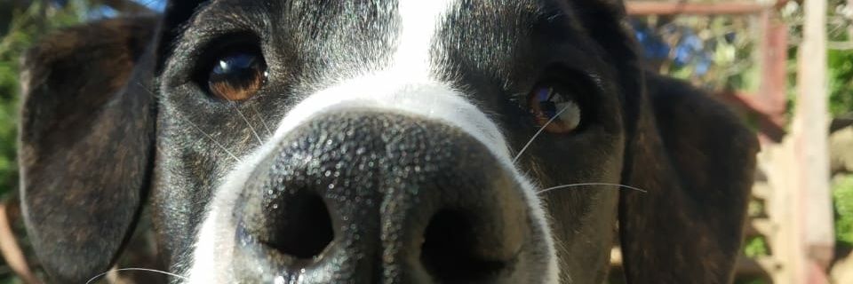 angelbain's profile banner image