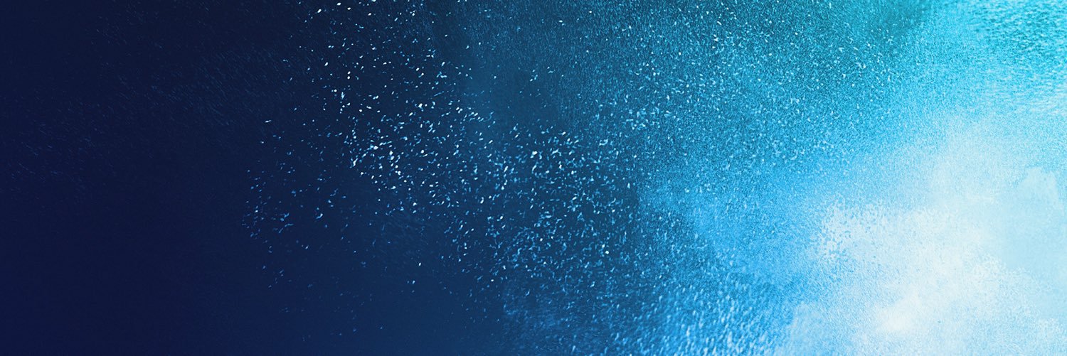 AngruDuck's profile banner image