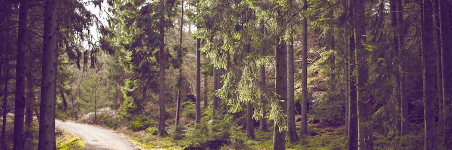 OximityClimate's profile banner image