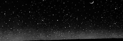 welcomebrisa's profile banner image