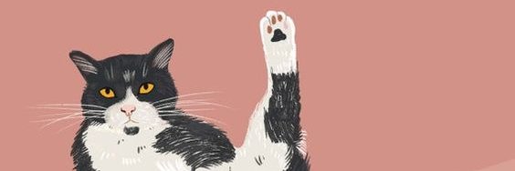 AndreaVerdugo22's profile banner image