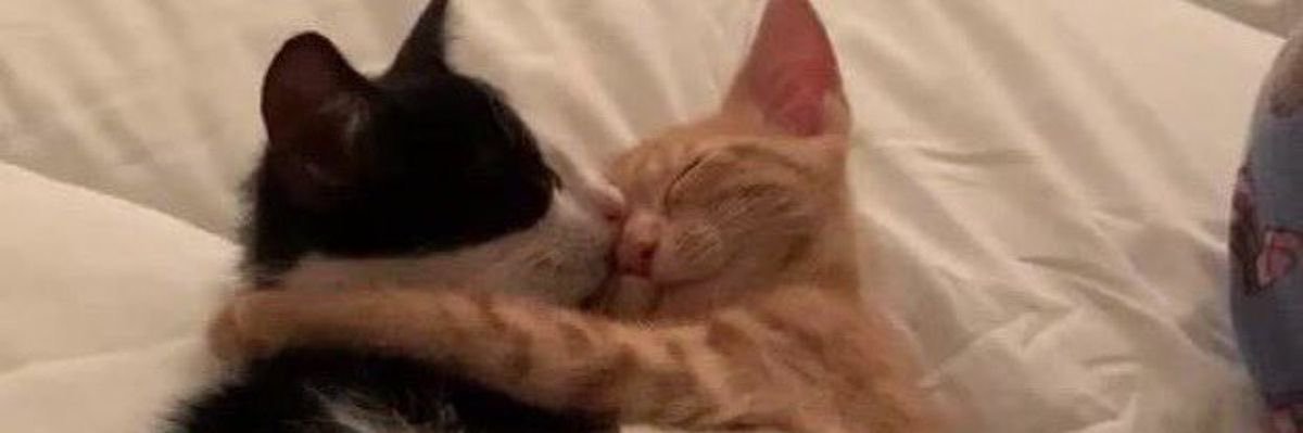 f3rndx's profile banner image