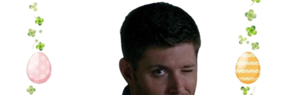 fiona d banner
