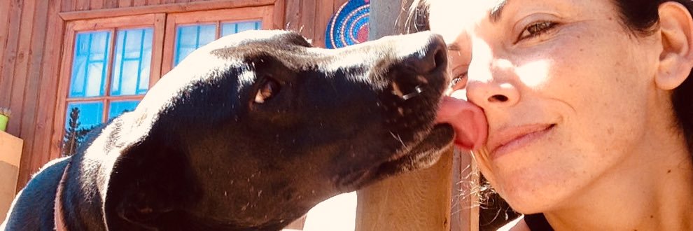 lunadesachy's profile banner image