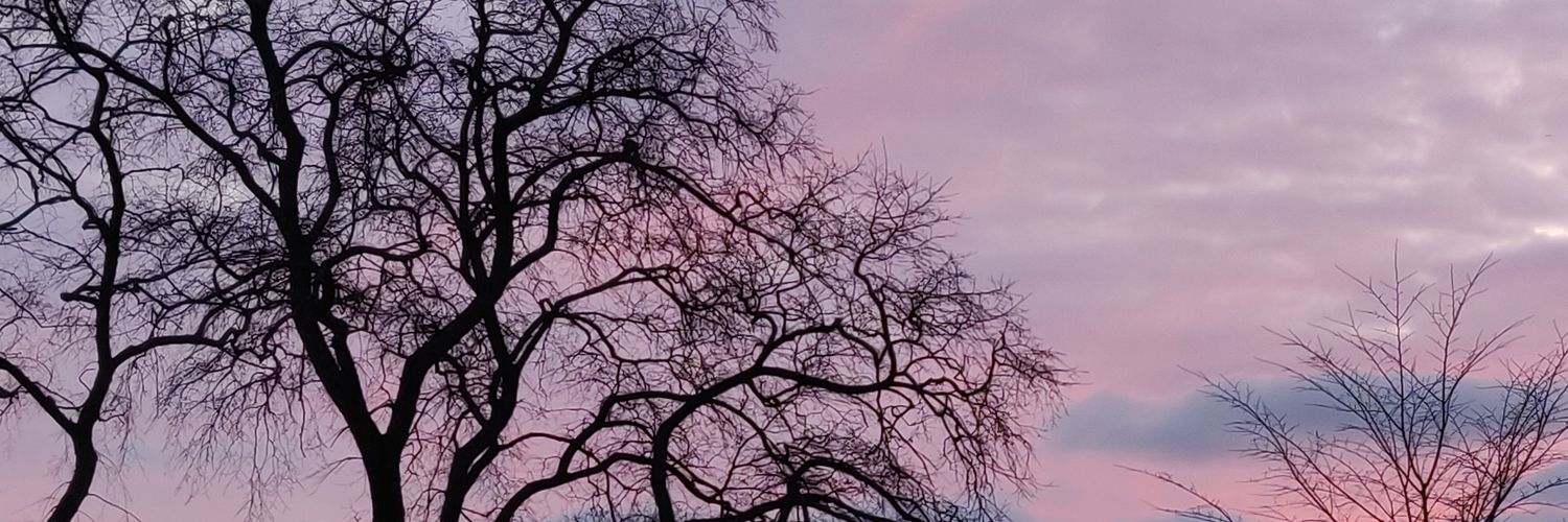 VerakyrieS's profile banner image