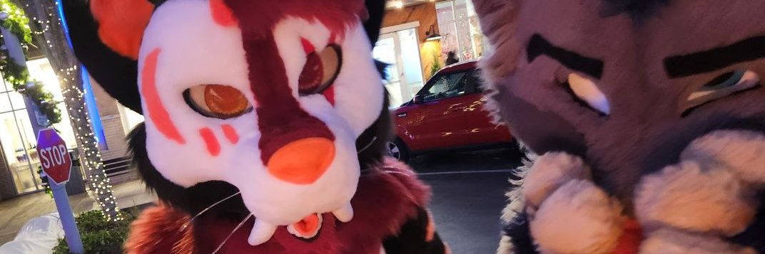 FlaminNeonNinjaCat banner
