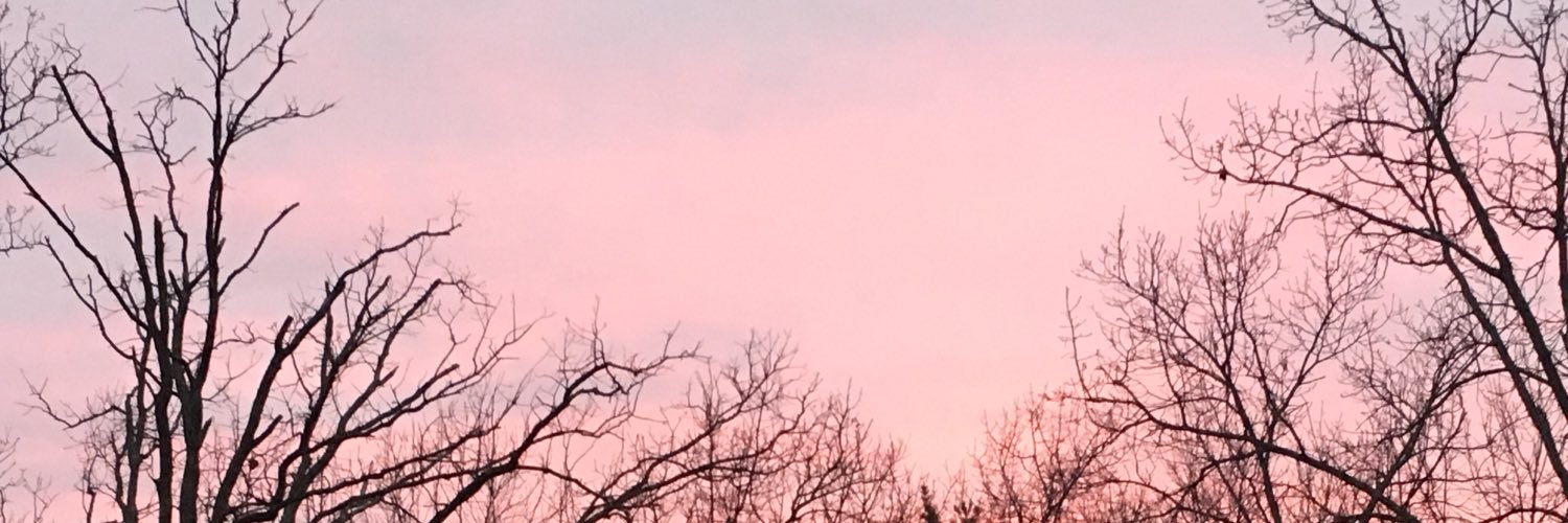 marleneaking's profile banner image