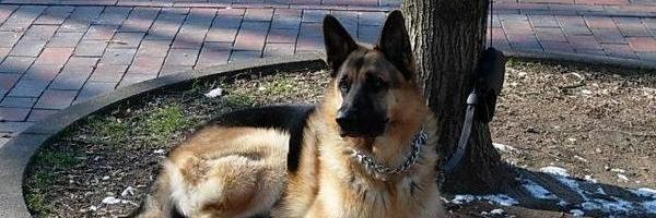 AszekKo's profile banner image