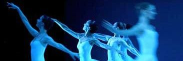 Beatriz Muñoz banner