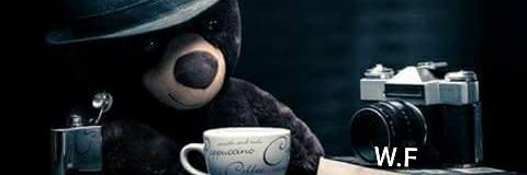 wfabianswf's profile banner image