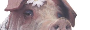RossAldred's profile banner image