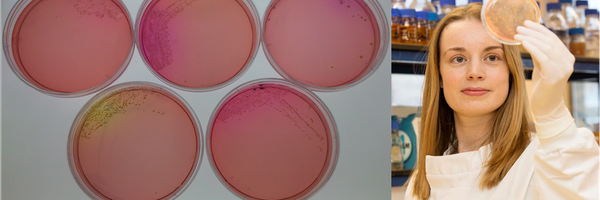 StaphLab Profile Banner