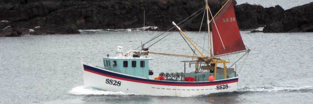 Andrew Pascoe banner