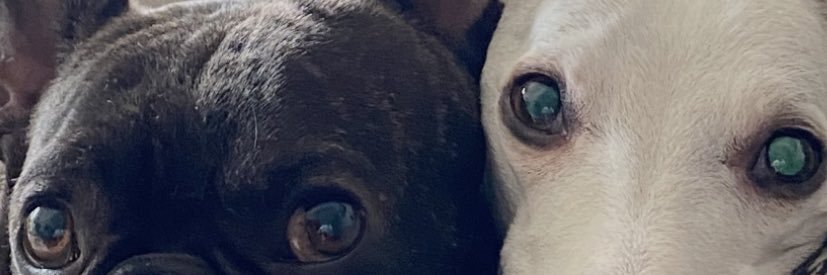Brunonacimeto's profile banner image