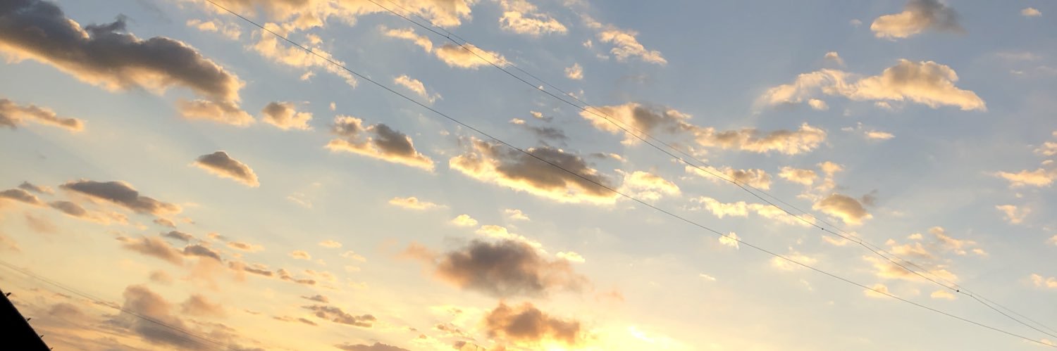 tutenewells's profile banner image