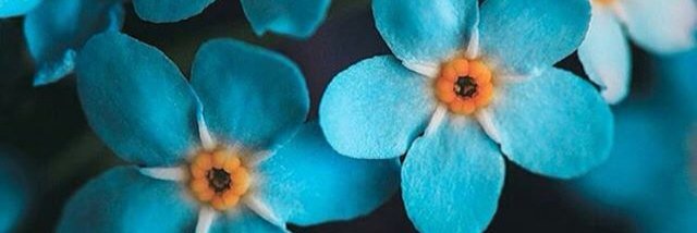 tiye1398's profile banner image