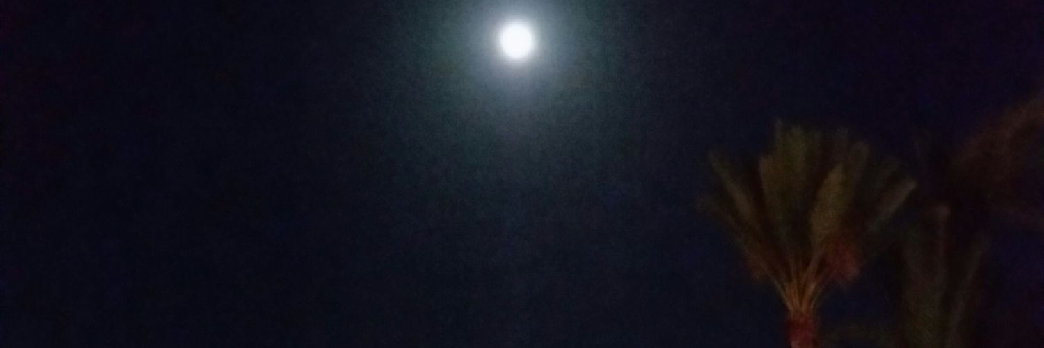 anmios_'s profile banner image