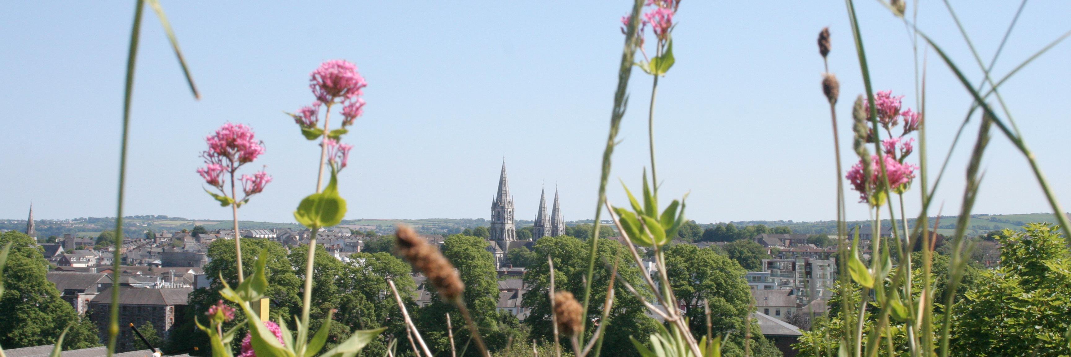 Dr Sarah Thelen banner