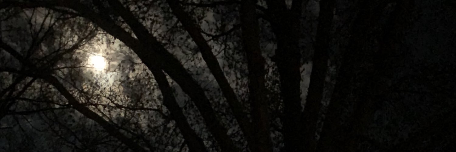 Dillon Minton banner