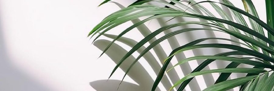 queen_7noni's profile banner image