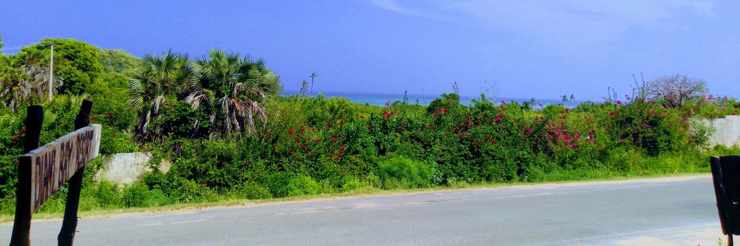 kimalawari's profile banner image