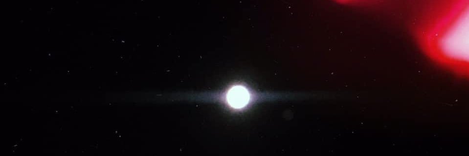 beccasaurrr's profile banner image