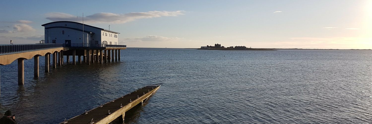 Sharon Wall . banner