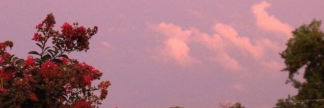 parisijae's profile banner image