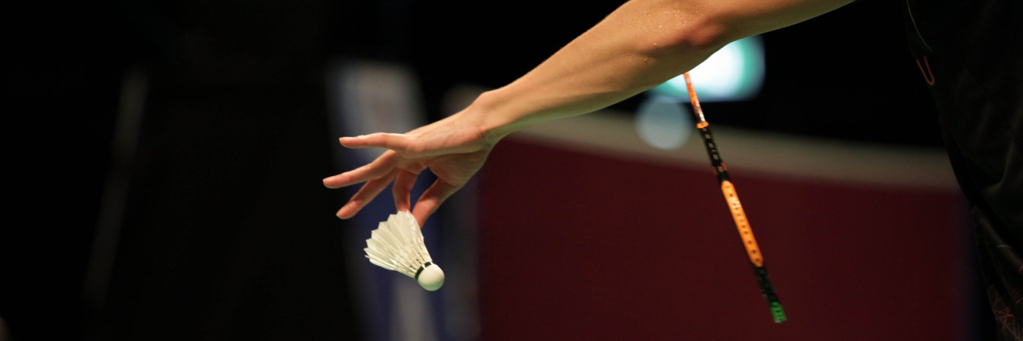 AusBadOpen banner