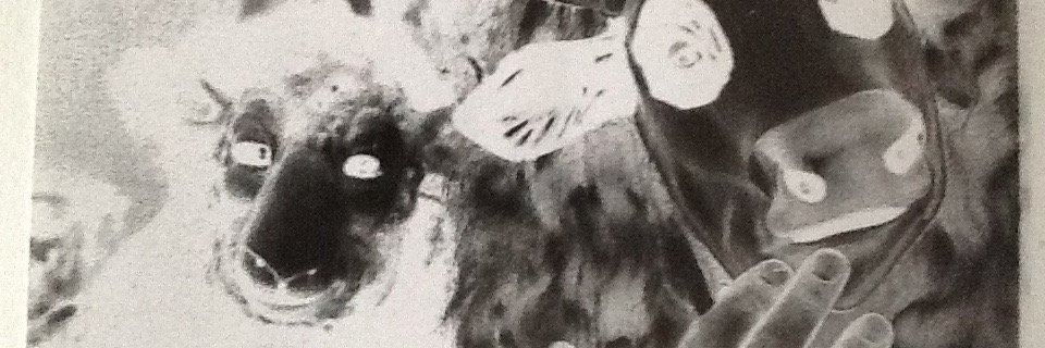 Marega Palser banner