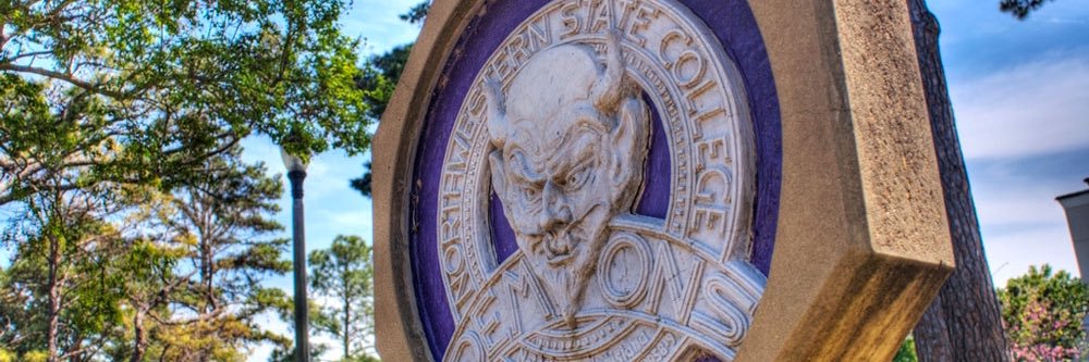 nsula_ald's profile banner image
