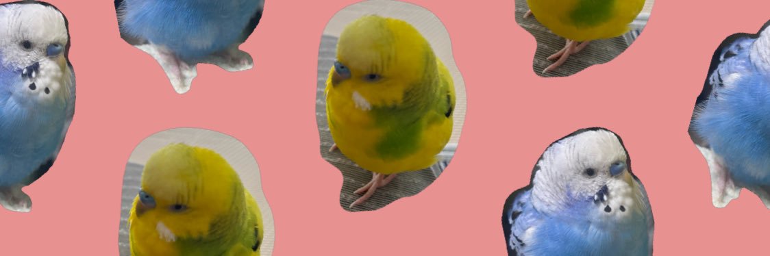 rgstmaster_'s profile banner image