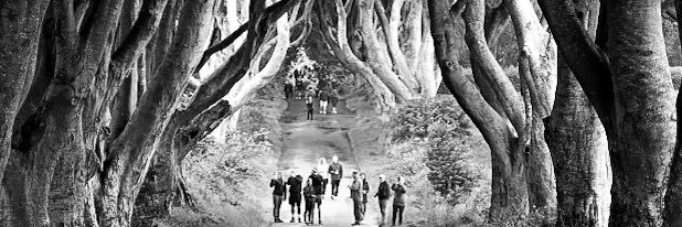 Andrew Walker banner