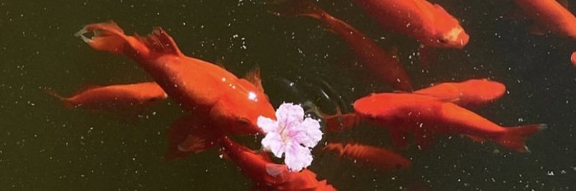 dxrrianb's profile banner image