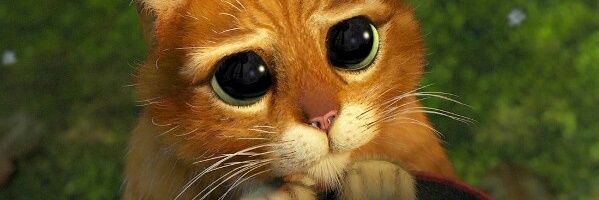 Amanecer banner