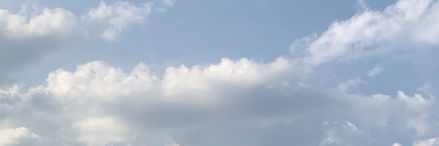 Chelseadinglas1's profile banner image