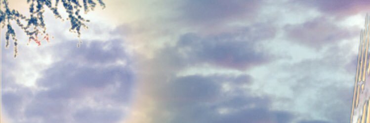 l a n a 🇱🇧🇯🇵🇨🇬 banner