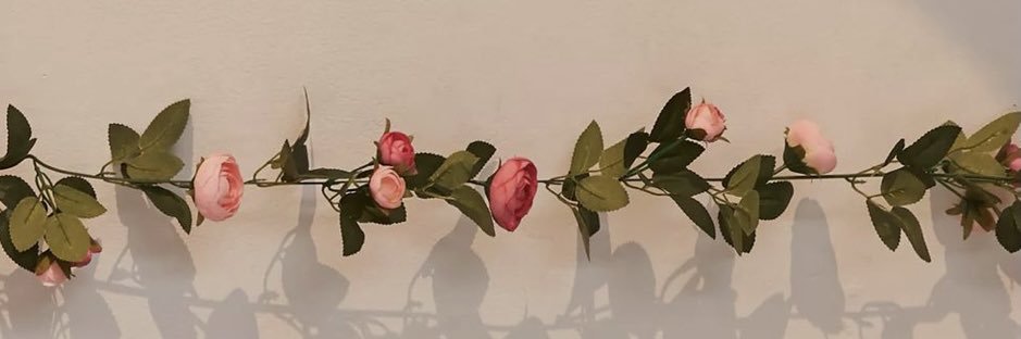 mckinnon_tate's profile banner image