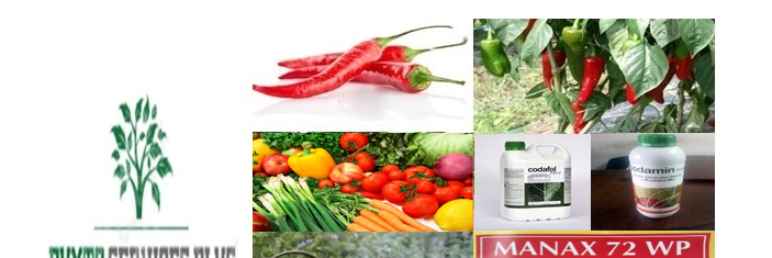 PHYTOPSP's profile banner image