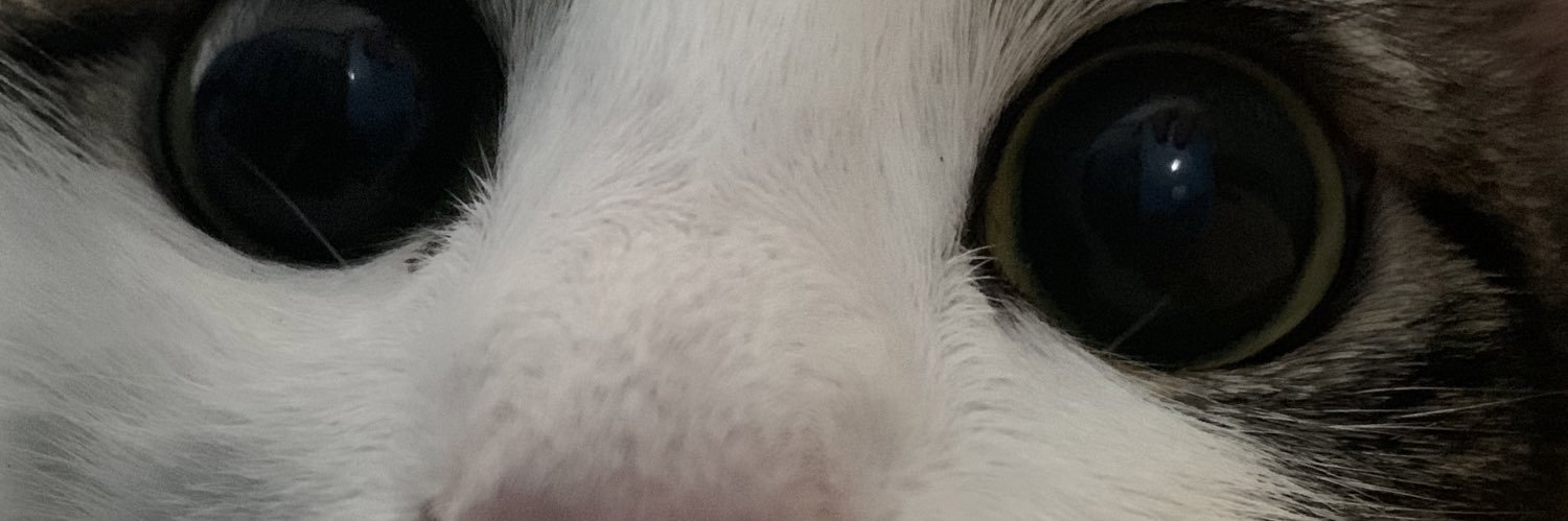 ✨🥐Salg🥐✨ banner