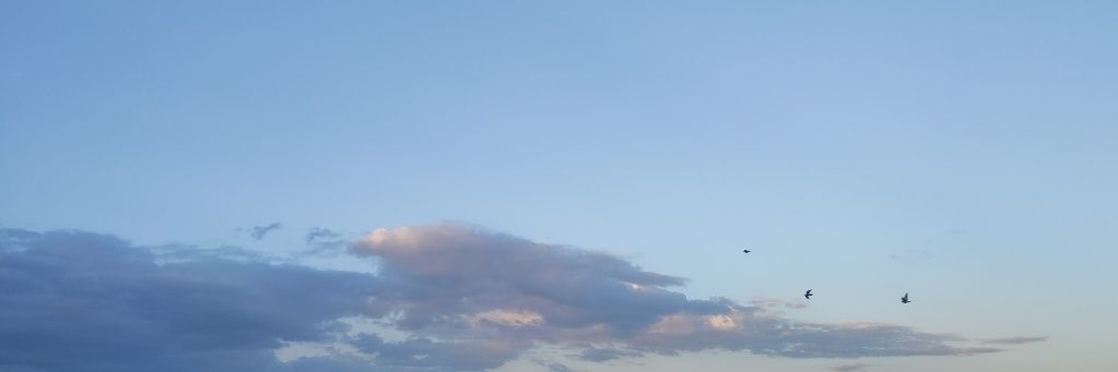 rewan_assaid's profile banner image