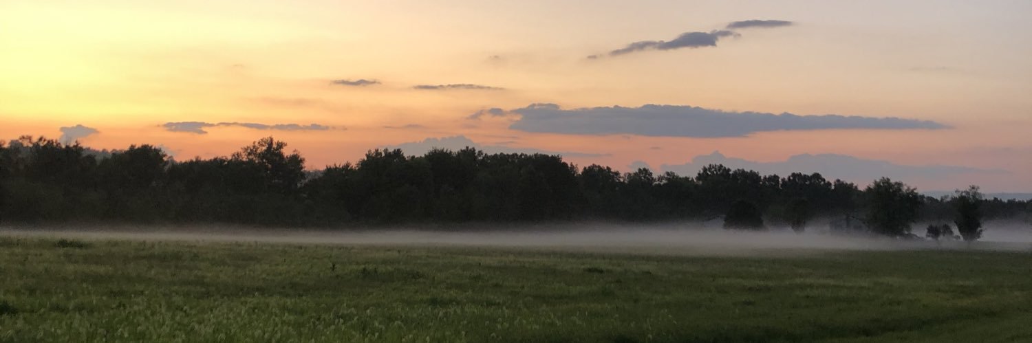 asieg14's profile banner image