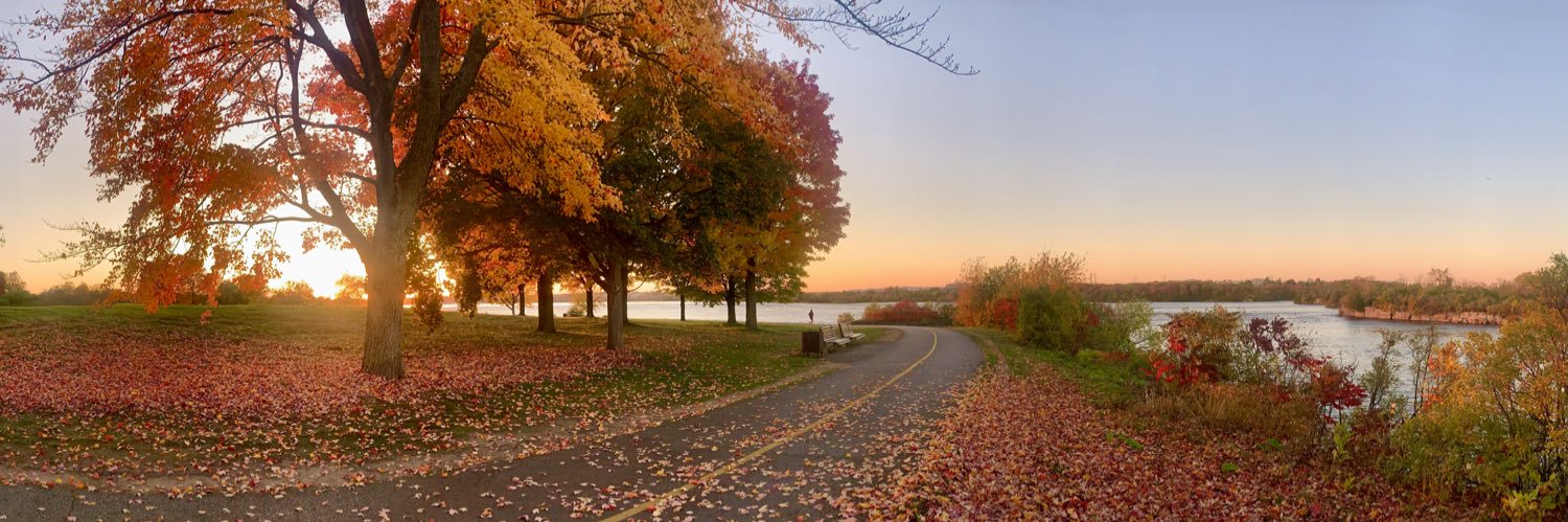 vtesta_ottawa's profile banner image
