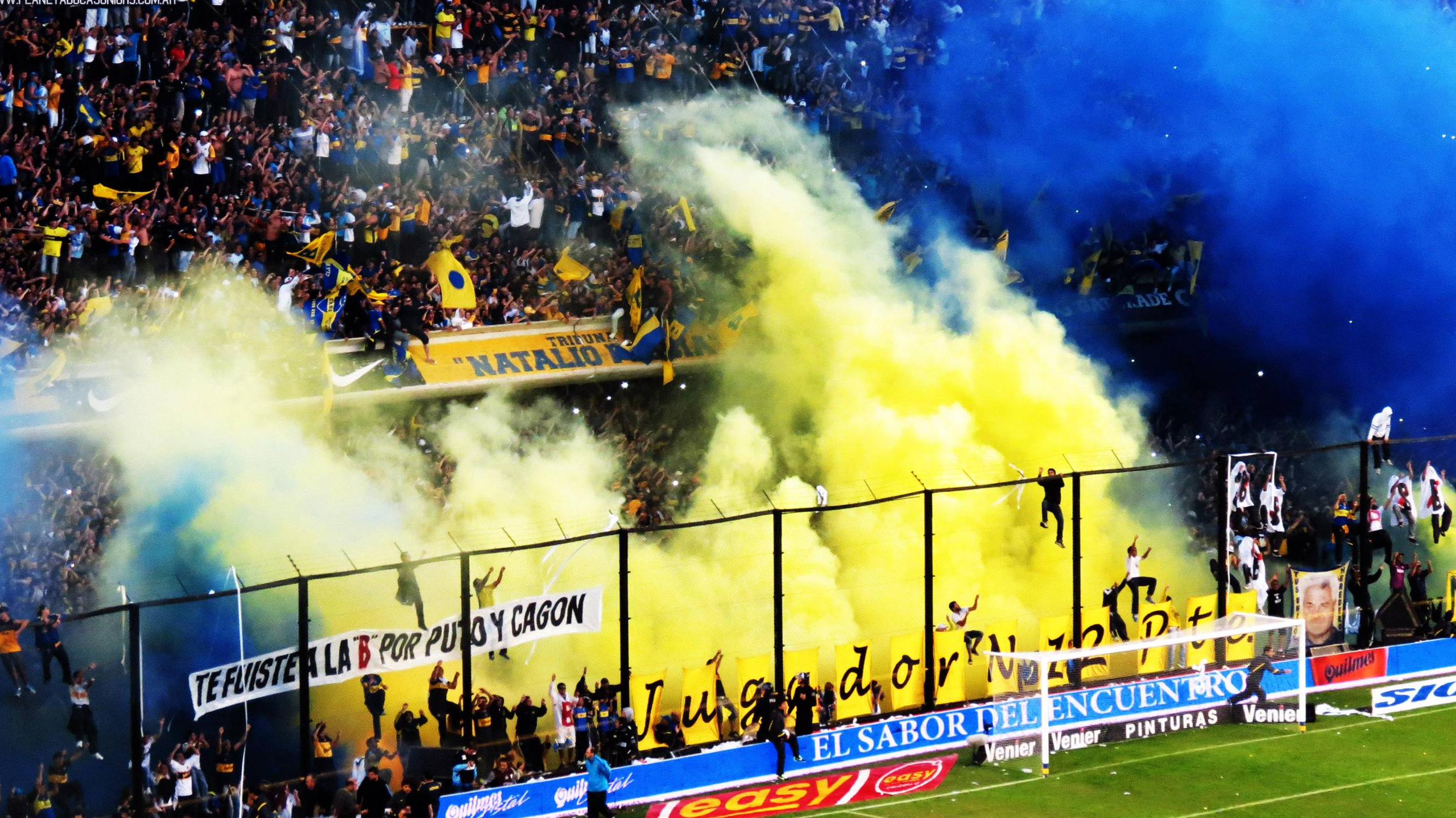 Alexis banner