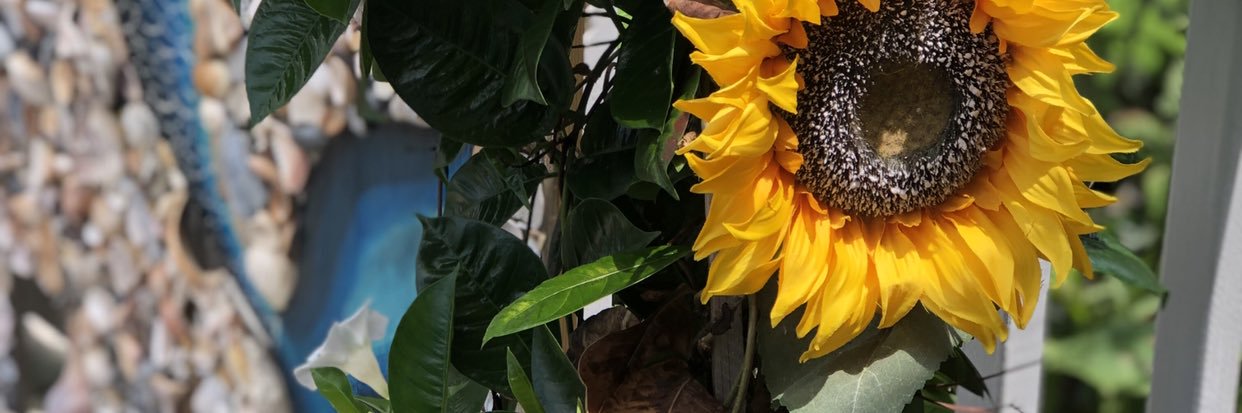 concreteheart_'s profile banner image