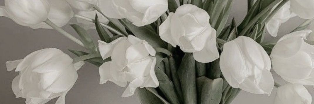 chrisomi9's profile banner image