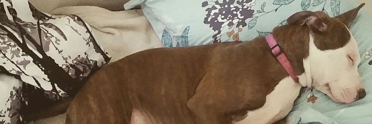 haleyjay_26's profile banner image