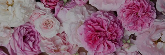dewi7rn's profile banner image